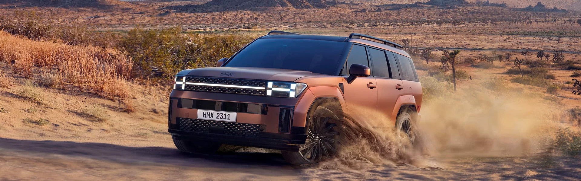 Hyundai Driving on a winding mountain road